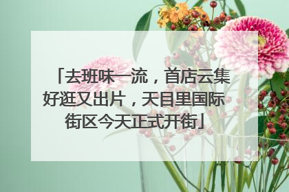 去班味一流，首店云集好逛又出片，天目里国际街区今天正式开街