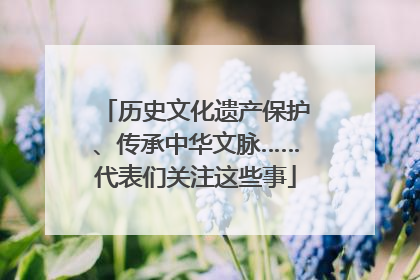 历史文化遗产保护、传承中华文脉……代表们关注这些事