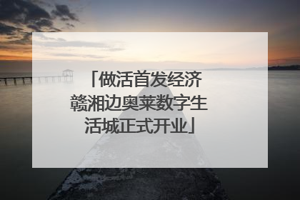 做活首发经济 赣湘边奥莱数字生活城正式开业