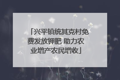 兴平镇统其克村免费发放钾肥 助力农业增产农民增收