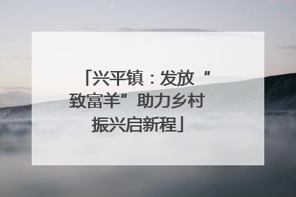 兴平镇：发放“致富羊”助力乡村振兴启新程