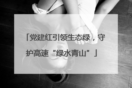 党建红引领生态绿，守护高速“绿水青山”