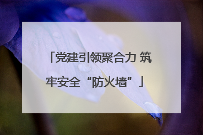 党建引领聚合力 筑牢安全“防火墙”