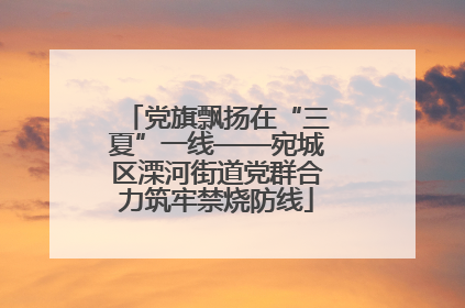 党旗飘扬在“三夏”一线——宛城区溧河街道党群合力筑牢禁烧防线
