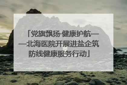 党旗飘扬·健康护航——北海医院开展进盐企筑防线健康服务行动