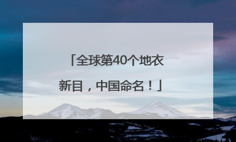 全球第40个地衣新目，中国命名！