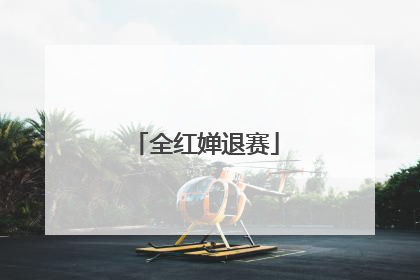 全红婵退赛