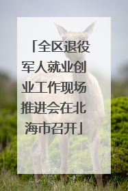 全区退役军人就业创业工作现场推进会在北海市召开