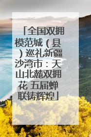 全国双拥模范城（县）巡礼新疆沙湾市：天山北麓双拥花 五届蝉联铸辉煌