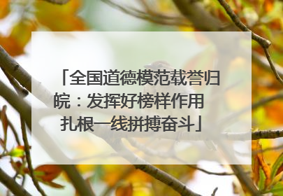 全国道德模范载誉归皖：发挥好榜样作用 扎根一线拼搏奋斗