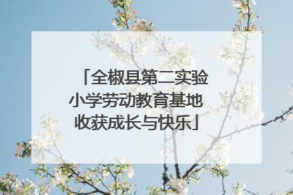全椒县第二实验小学劳动教育基地收获成长与快乐