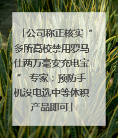 公司称正核实“多所高校禁用罗马仕两万毫安充电宝” 专家：预防手机没电选中等体积产品即可
