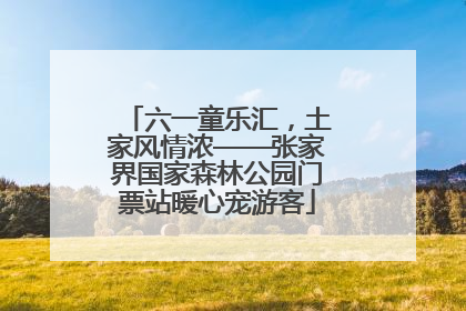 六一童乐汇，土家风情浓——张家界国家森林公园门票站暖心宠游客
