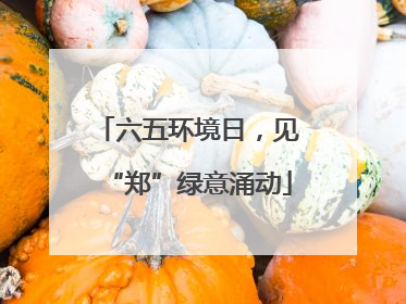 六五环境日，见“郑”绿意涌动