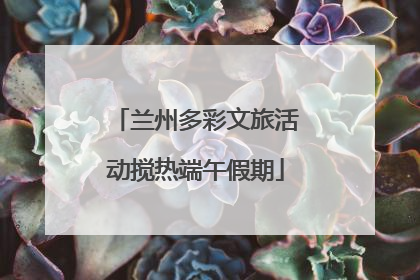 兰州多彩文旅活动搅热端午假期