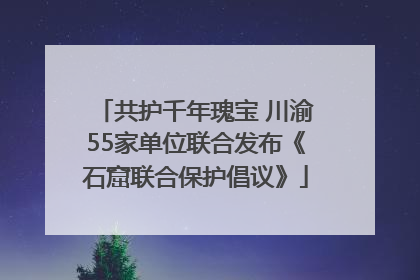 共护千年瑰宝 川渝55家单位联合发布《石窟联合保护倡议》