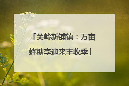 关岭新铺镇：万亩蜂糖李迎来丰收季