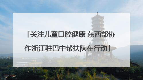 关注儿童口腔健康 东西部协作浙江驻巴中帮扶队在行动