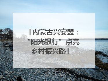 内蒙古兴安盟：“阳光银行”点亮乡村振兴路
