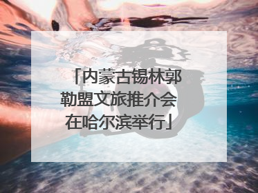 内蒙古锡林郭勒盟文旅推介会在哈尔滨举行