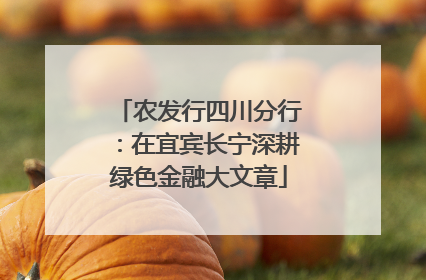 农发行四川分行：在宜宾长宁深耕绿色金融大文章