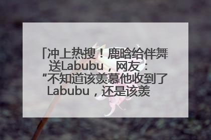 冲上热搜！鹿晗给伴舞送Labubu，网友：“不知道该羡慕他收到了Labubu，还是该羡慕鹿晗送他礼物”