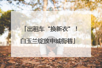 出租车“换新衣”！白玉兰绽放申城街巷