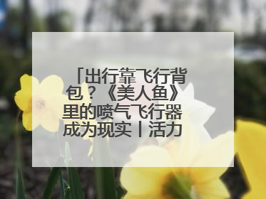 出行靠飞行背包？《美人鱼》里的喷气飞行器成为现实丨活力中国调研行