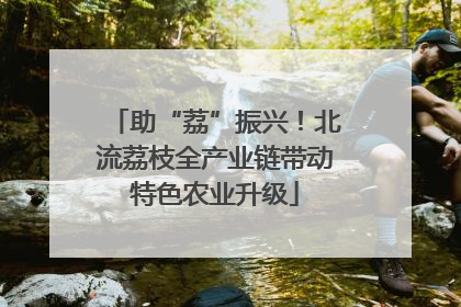 助“荔”振兴！北流荔枝全产业链带动特色农业升级