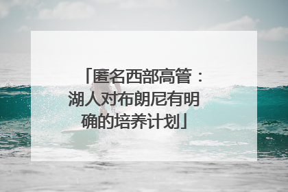 匿名西部高管：湖人对布朗尼有明确的培养计划