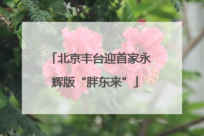 北京丰台迎首家永辉版“胖东来”