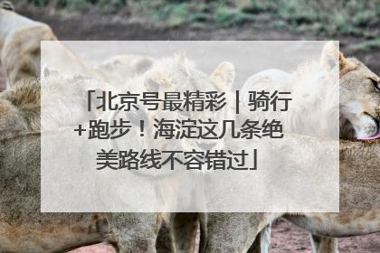 北京号最精彩｜骑行+跑步！海淀这几条绝美路线不容错过