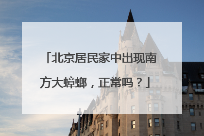 北京居民家中出现南方大蟑螂，正常吗？