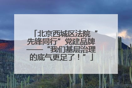 北京西城区法院“先锋同行”党建品牌——“我们基层治理的底气更足了！”