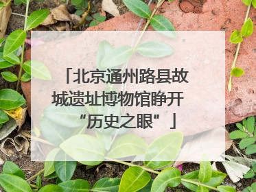 北京通州路县故城遗址博物馆睁开“历史之眼”