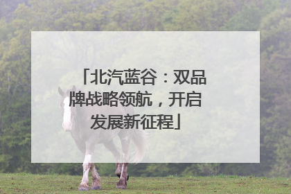 北汽蓝谷：双品牌战略领航，开启发展新征程