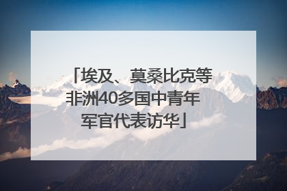 埃及、莫桑比克等非洲40多国中青年军官代表访华