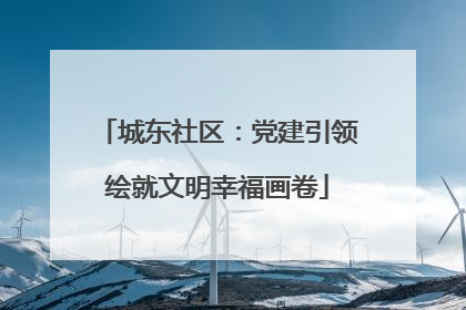 城东社区：党建引领绘就文明幸福画卷