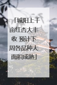 城阳上千亩红杏大丰收 预计下周各品种大面积成熟