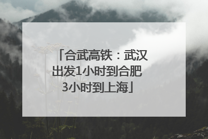 合武高铁：武汉出发1小时到合肥3小时到上海