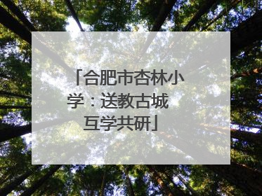 合肥市杏林小学：送教古城 互学共研