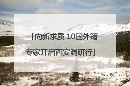 向新求质 10国外籍专家开启西安调研行