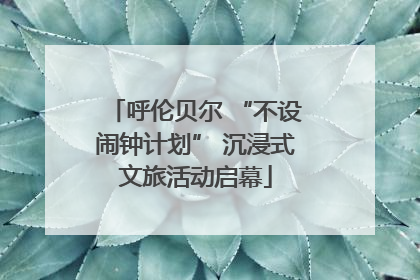 呼伦贝尔 “不设闹钟计划” 沉浸式文旅活动启幕
