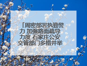 周密部署执勤警力 加强路面疏导力度 石家庄公安交管部门多措并举确保考点周边交通环境良好