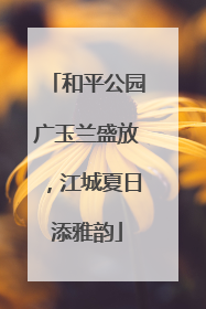和平公园广玉兰盛放，江城夏日添雅韵