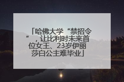 哈佛大学“禁招令”，让比利时未来首位女王、23岁伊丽莎白公主难毕业