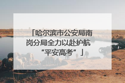 哈尔滨市公安局南岗分局全力以赴护航“平安高考”
