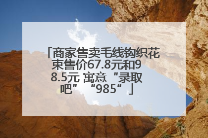 商家售卖毛线钩织花束售价67.8元和98.5元 寓意“录取吧”“985”