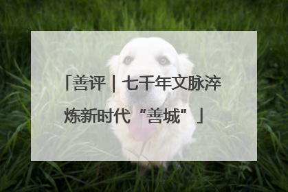 善评｜七千年文脉淬炼新时代“善城”