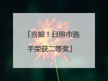 喜报！日照市选手荣获二等奖